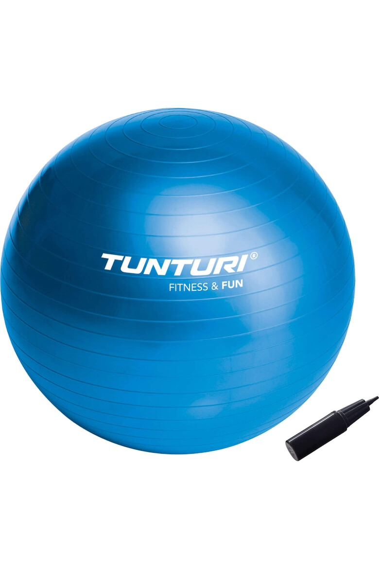 Tunturi Minge fitness/yoga/pilates 65cm albastru - Pled.ro