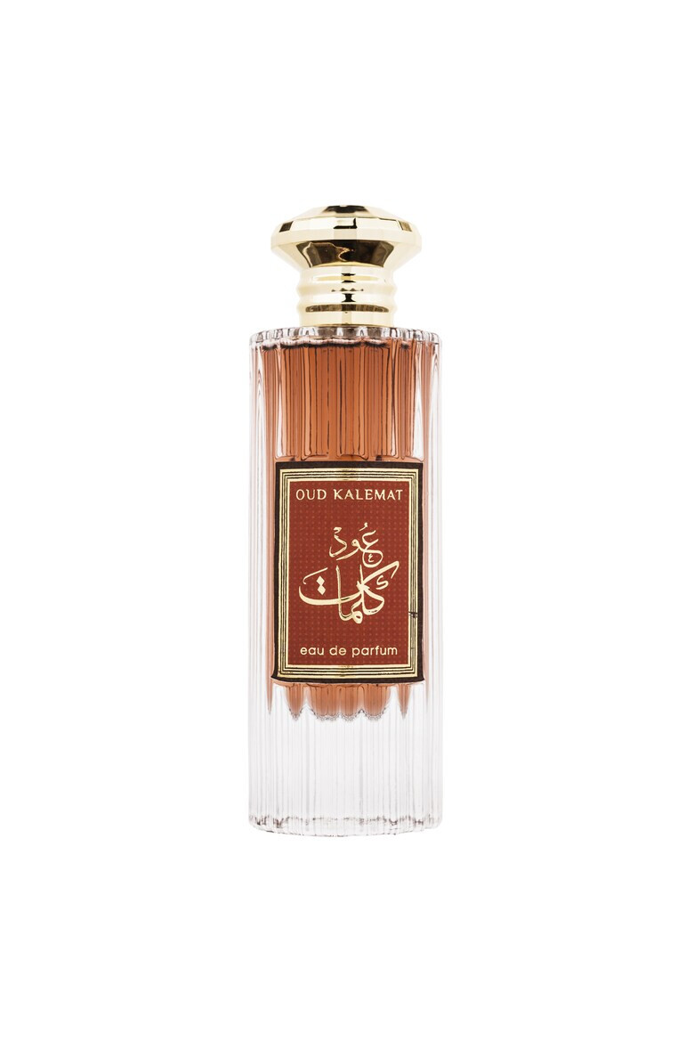 WADI AL KHALEEJ Apa de Parfum Oud Kalemat Unisex 100 ml - Pled.ro