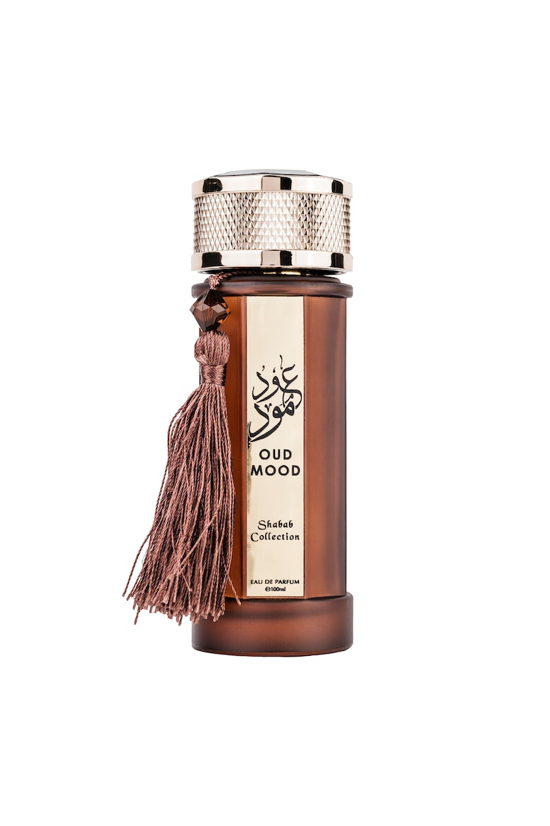 WADI AL KHALEEJ Apa de Parfum Oud Mood Unisex 100 ml - Pled.ro