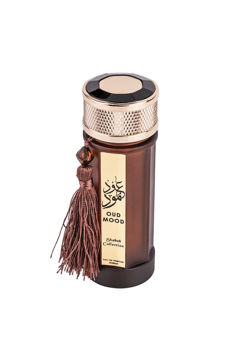 WADI AL KHALEEJ Apa de Parfum Oud Mood Unisex 100 ml - Pled.ro