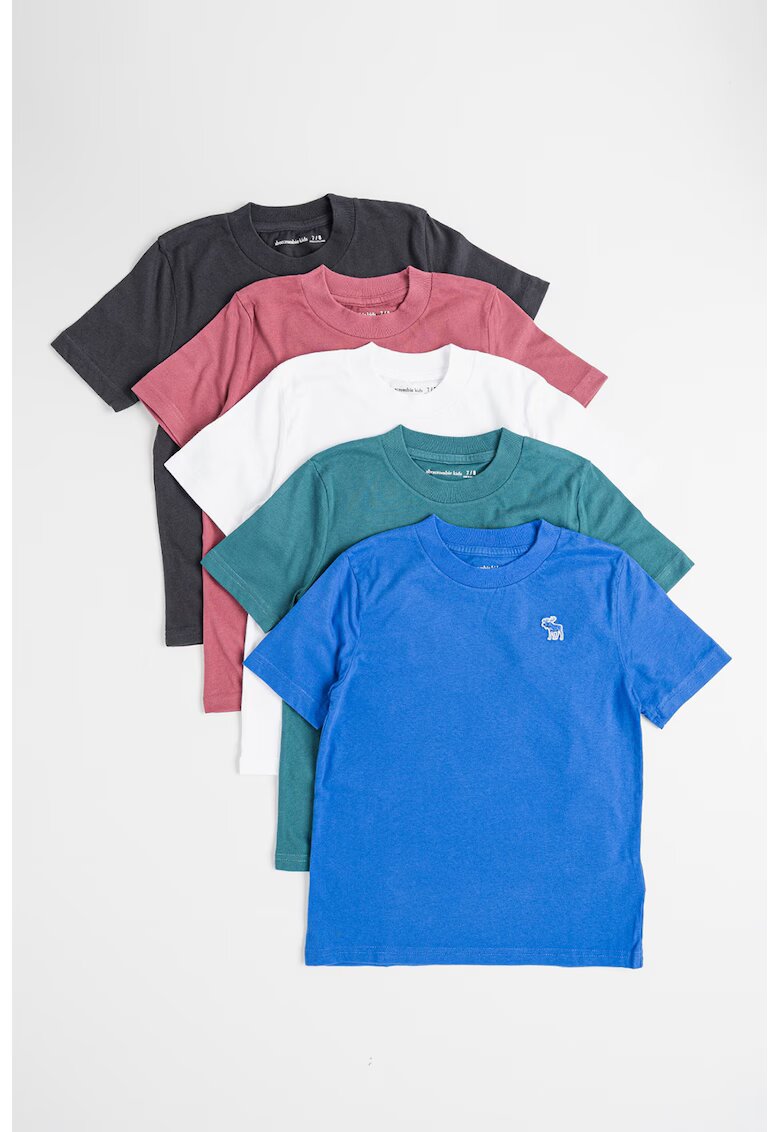 Abercrombie & Fitch Set de tricouri cu decolteu la baza gatului - 5 piese - Multicolor