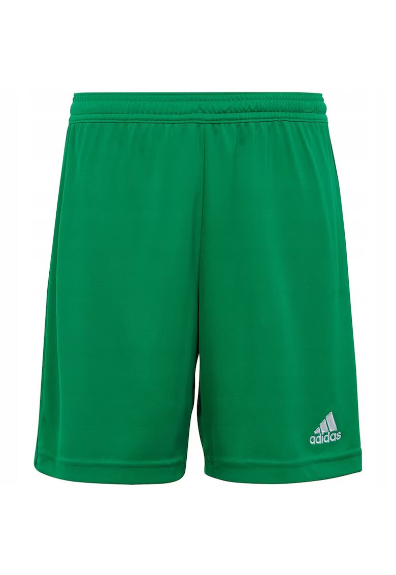 adidas Pantaloni sport copii - Verde - Albastru