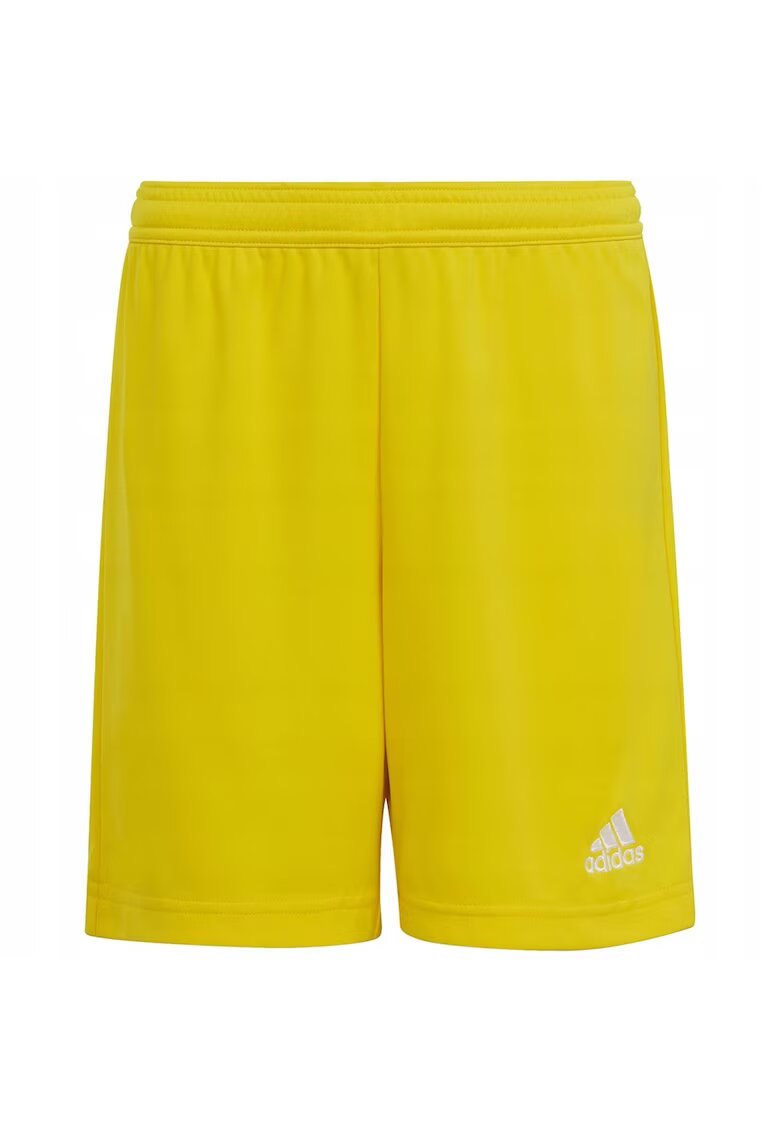 adidas Pantaloni sport Galben