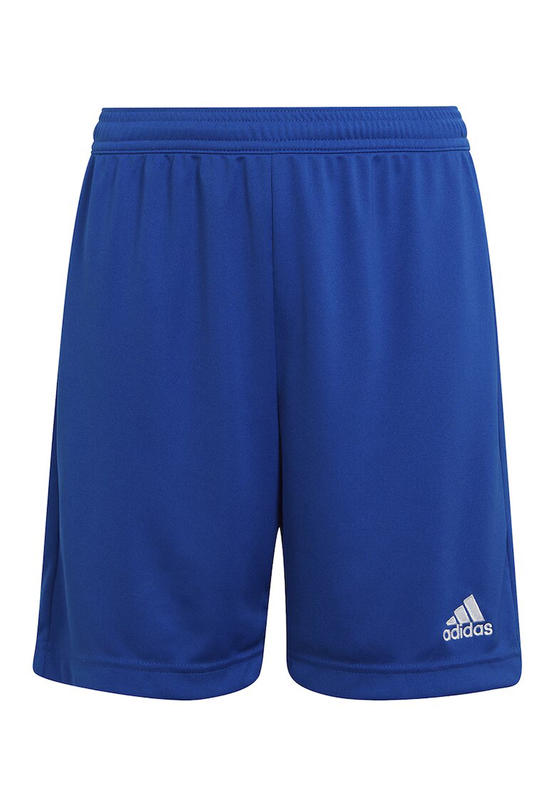 Adidas PERFORMANCE Pantaloni scurti pentru fotbal ENT22 - Albastru royal