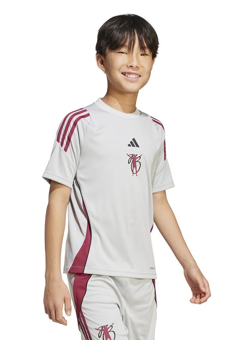Adidas PERFORMANCE Tricou cu decolteu la baza gatului pentru fotbal - Visiniu/Gri deschis