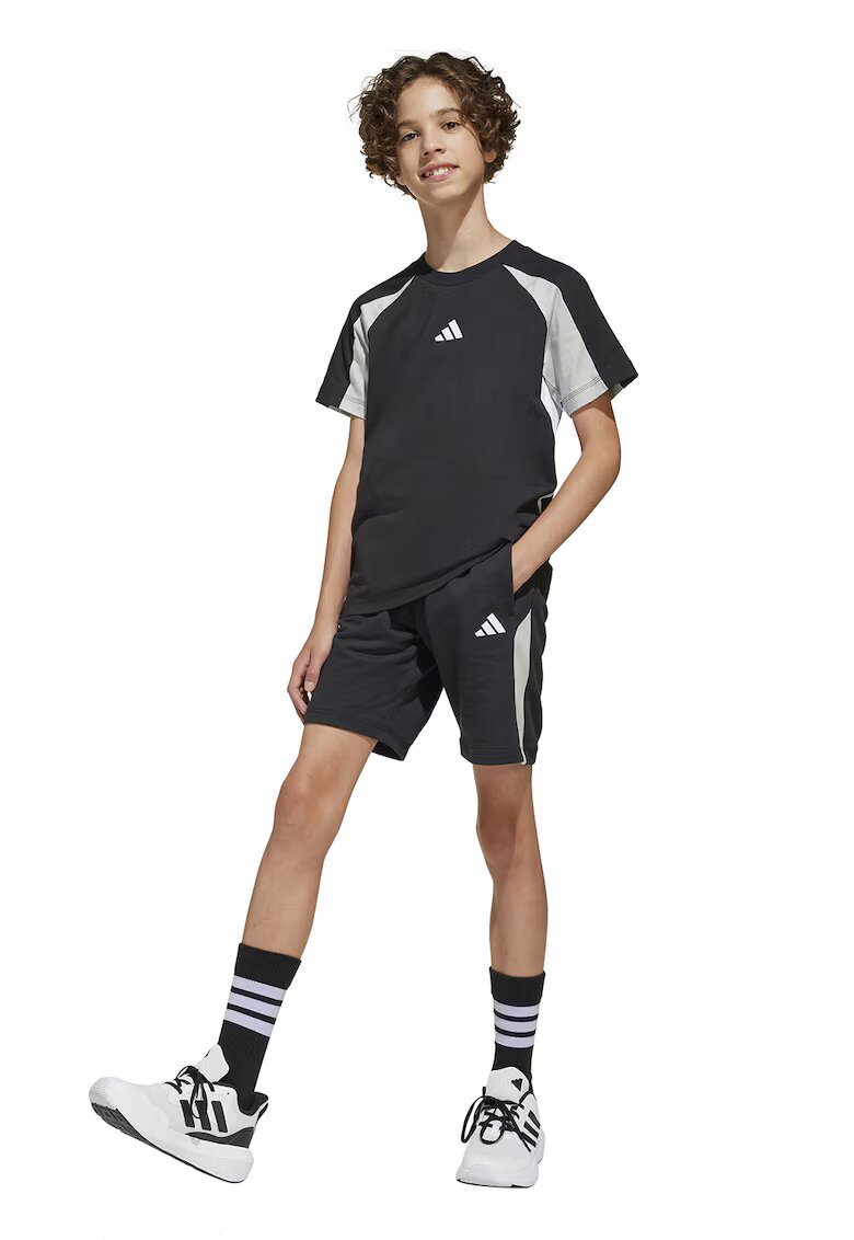 ADIDAS SPORTSWEAR Pantaloni scurti din amestec de bumbac cu logo - Negru/Gri deschis