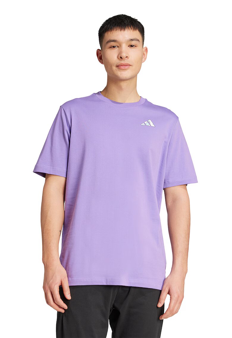 ADIDAS SPORTSWEAR Tricou cu imprimeu logo pe partea din spate C Earth M - Lila/Alb murdar/Albastru deschis