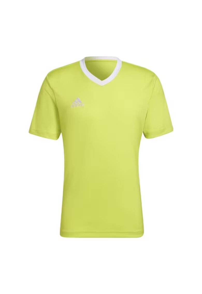 adidas Tricou barbati - Poliester - Verde - Verde