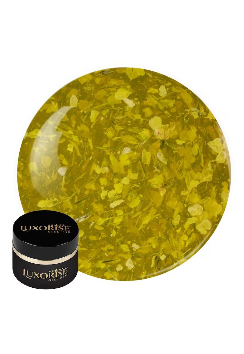 Luxorise Gel UV Constructie Unghii RevoFlex Floral 15ml - Dandelion Kiss