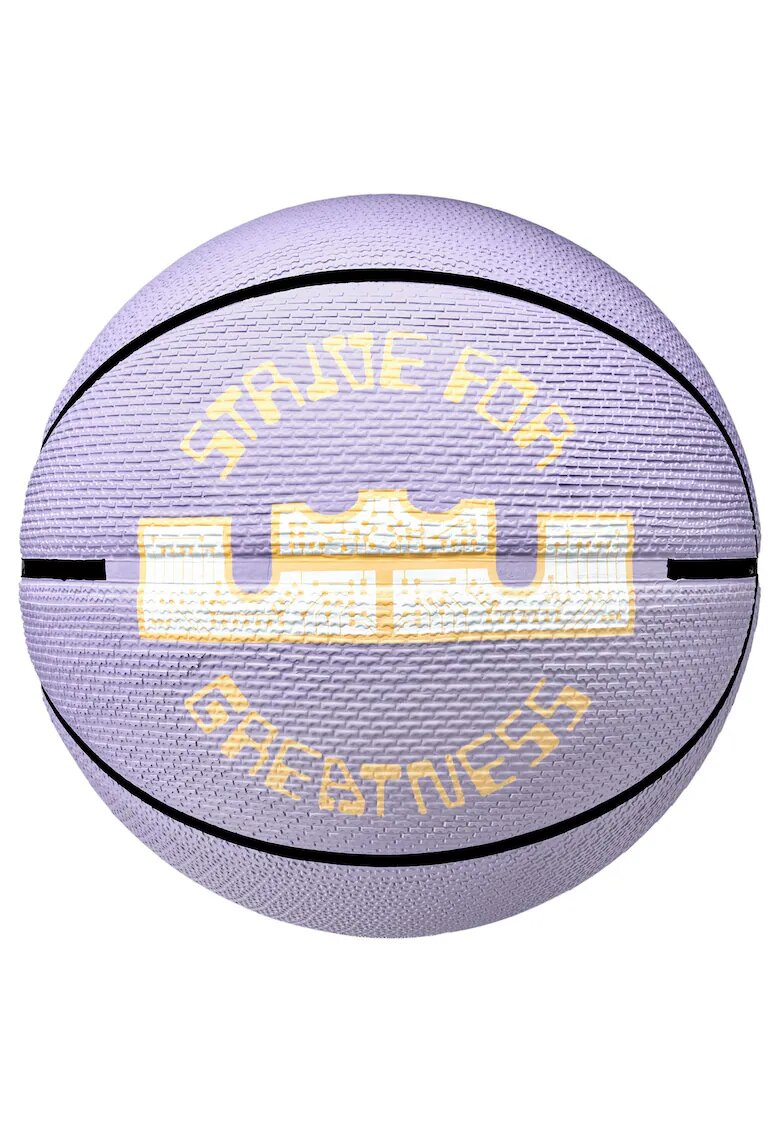 Nike Minge baschet Playground 2.0 8P Lebron Jamesflated - mov