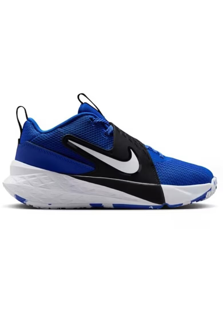Nike Pantofi sport TEAM HUSTLE D 12 GS-HF6279-400