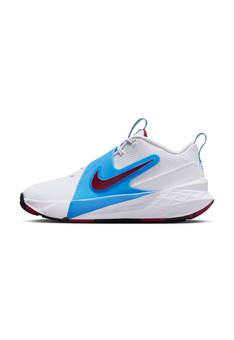 Nike Pantofi Team Hustle D 12 pentru baschet - Alb murdar/Albastru/Violet pruna