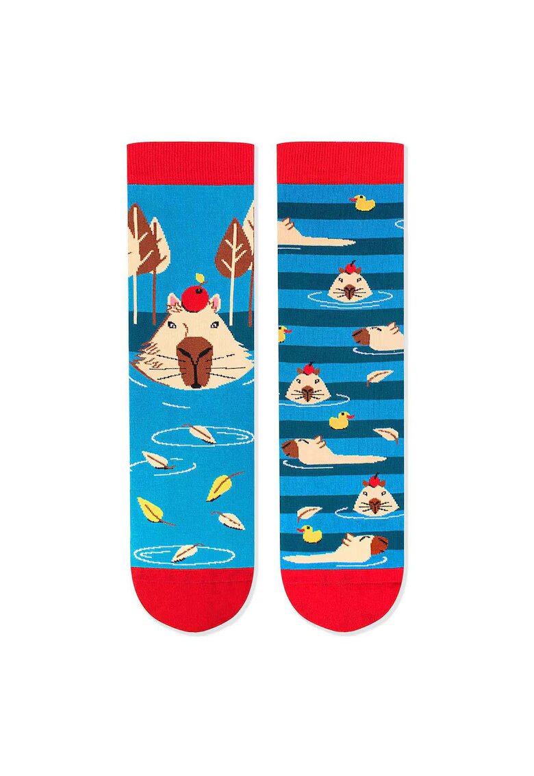 Pirin Hill Sosete bumbac Arty Socks Capybara Albastru