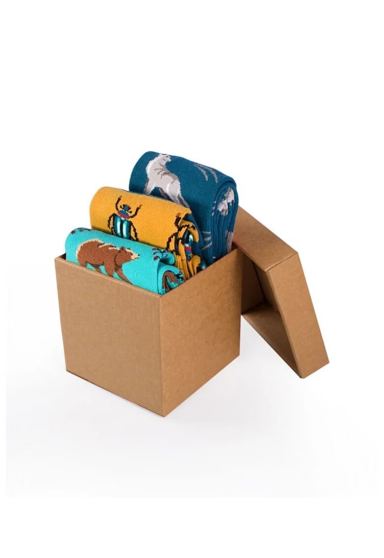 Pirin Hill Sosete bumbac Forest Animals Cool Box - 3 buc.