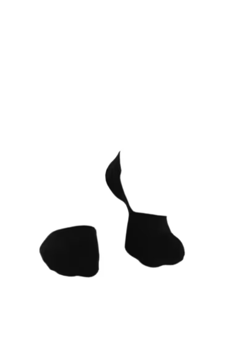 Pirin Hill Sosete tip talpici INVISIBLE ORGANIC SOCKS Black 420