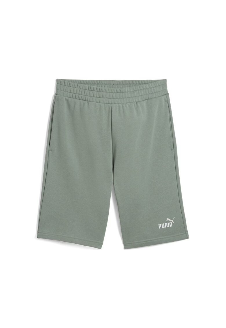 Puma Sort ESS 2 COLOR No. 1 Logo Shorts 10" TR-684715-30
