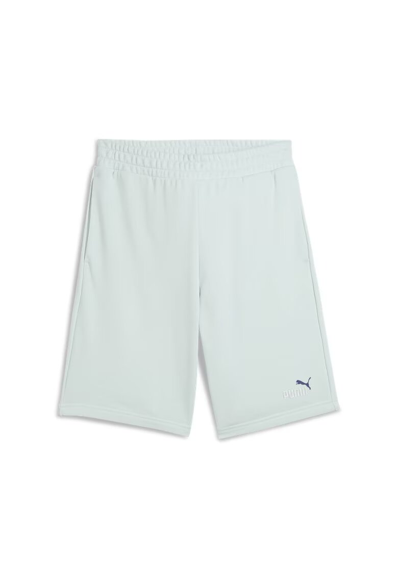 Puma Sort ESS 2 COLOR No. 1 Logo Shorts 10" TR-684715-50