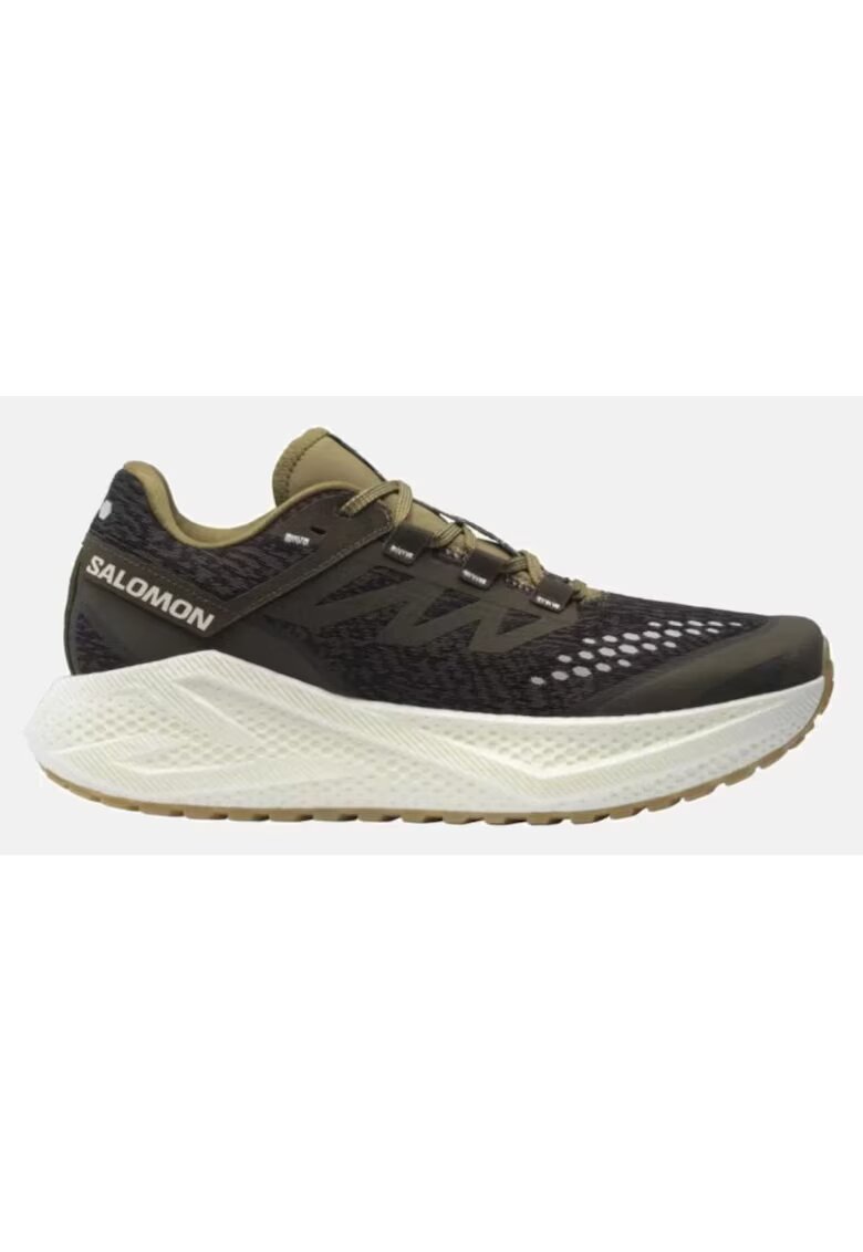 Salomon Aero Glide 3 Incaltaminte de Alergare pentru Barbati