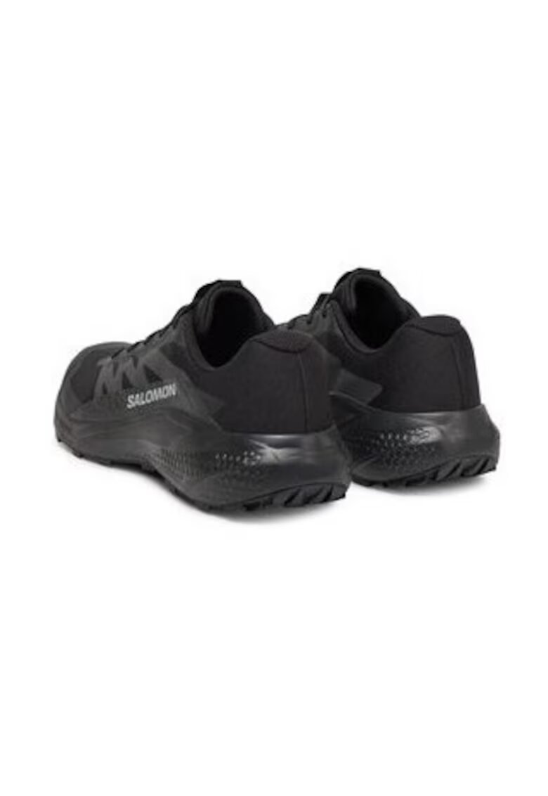 Salomon Pantofi pentru alergat Alphaglide