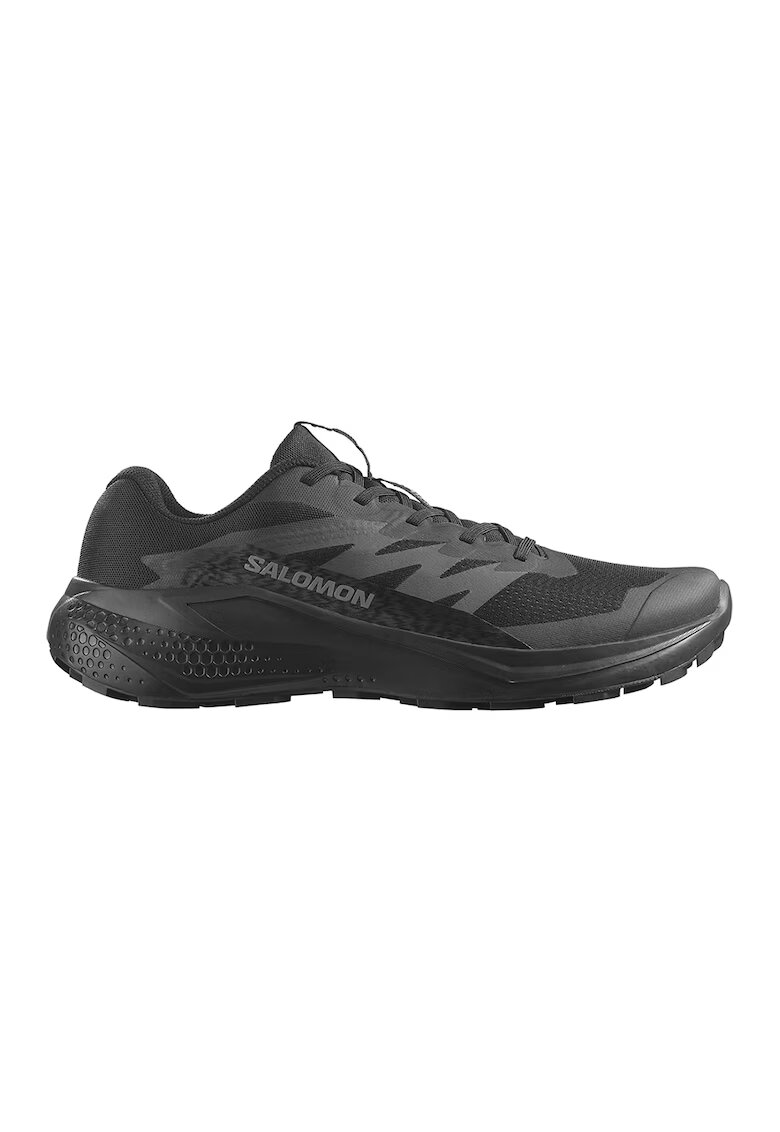 Salomon Pantofi pentru alergat Alphaglide