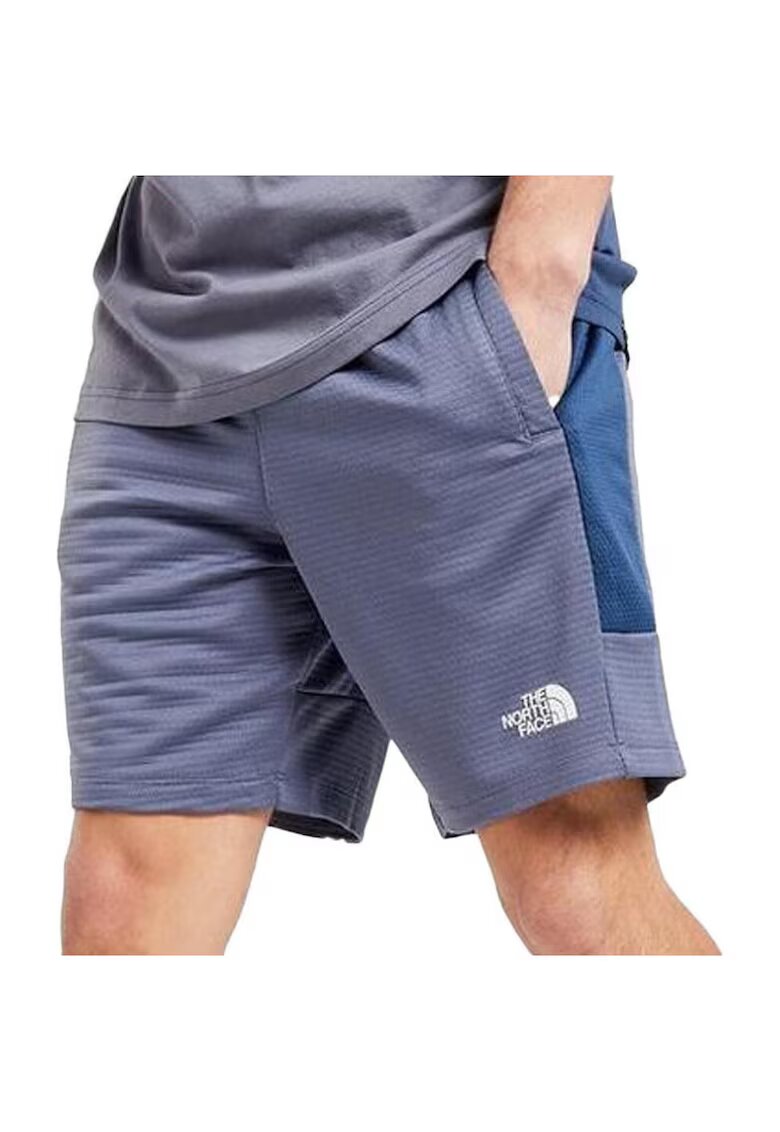 The North Face Pantaloni scurti Face Mountain Athletics Fleece Short - Albastru