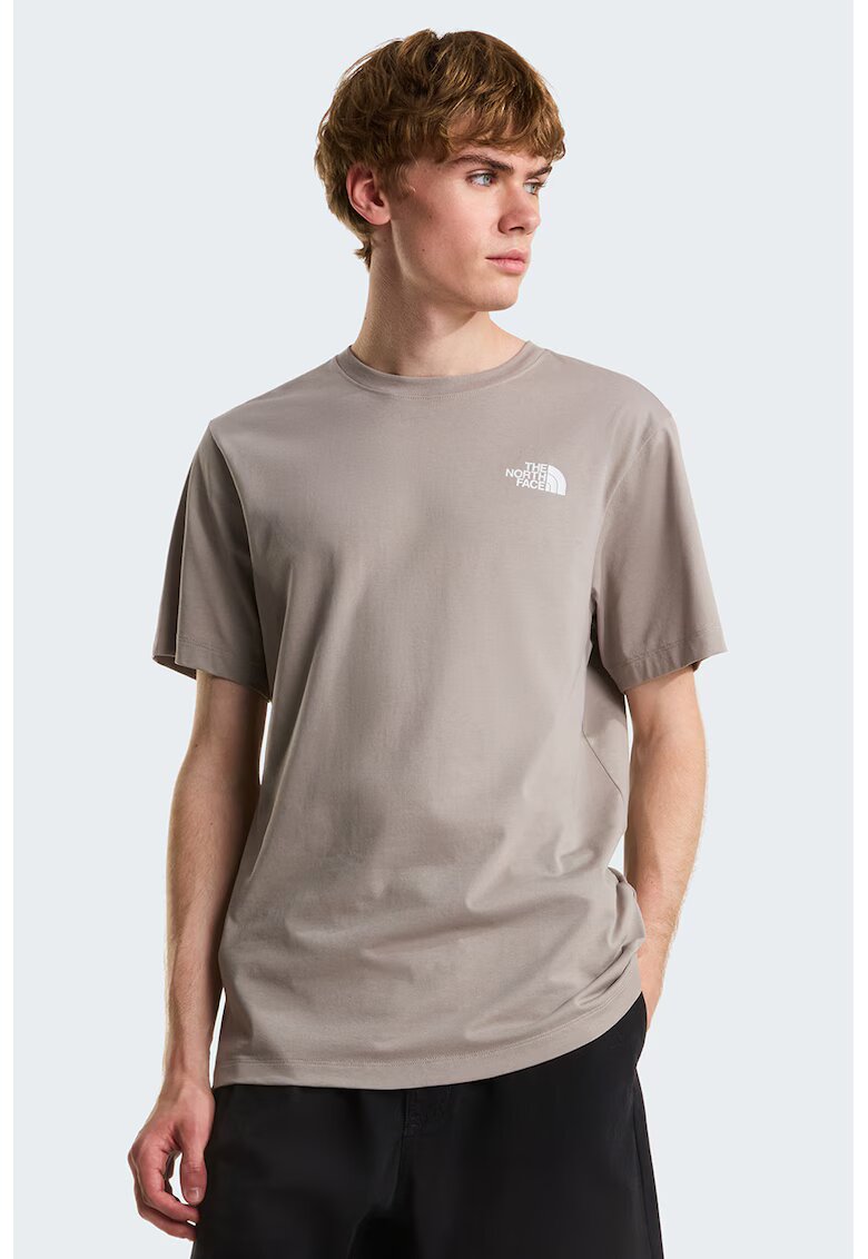 The North Face Tricou regular fit cu imprimeu logo pe piept Evolution Box - Maro taupe