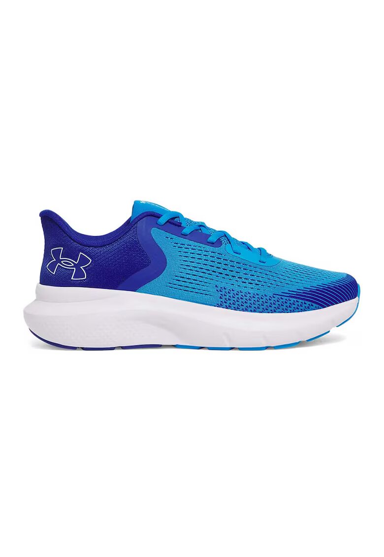Under Armour Pantofi Charged Rogue 5 cu garnituri sintetice - pentru alergare - Albastru
