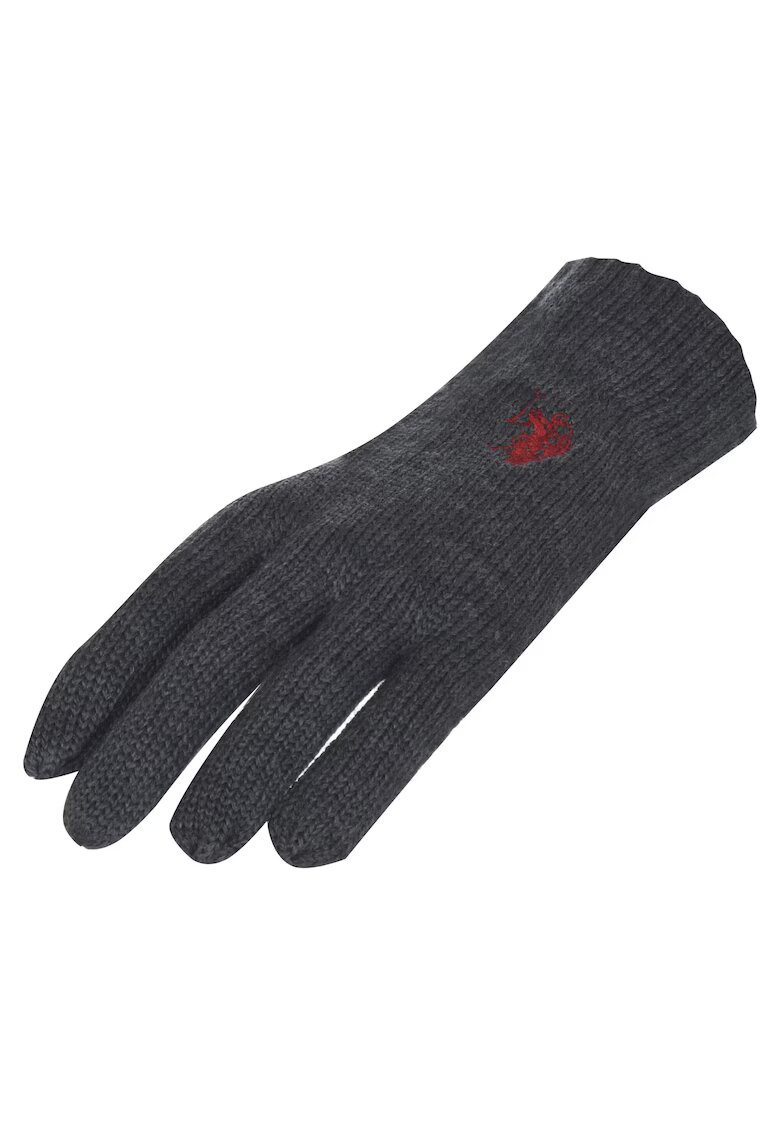 US Polo Assn Manusi pentru femei U.S. POLO ASSN NOAH acryl / lana GRI
