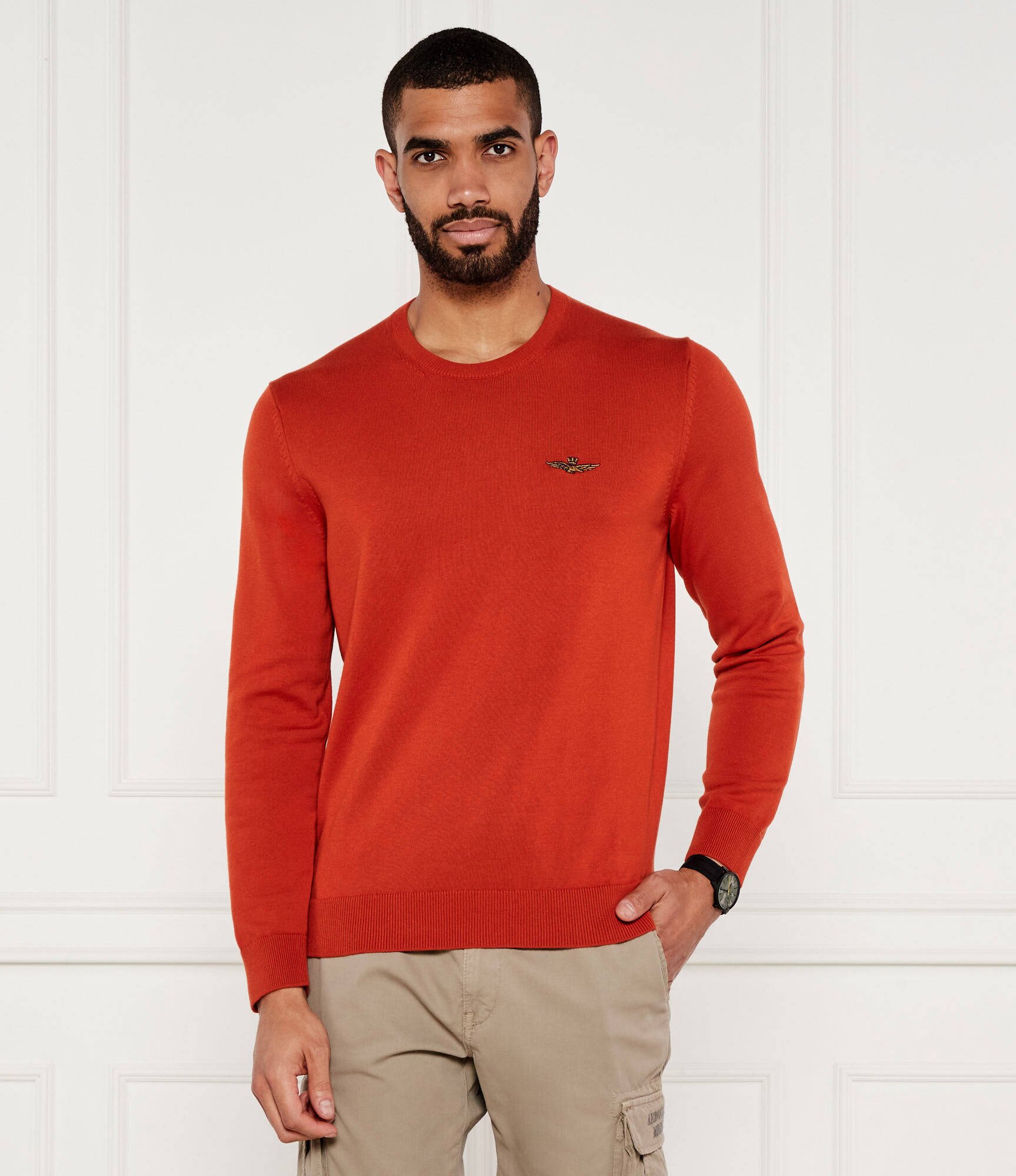 Aeronautica Militare Pulover | Regular Fit