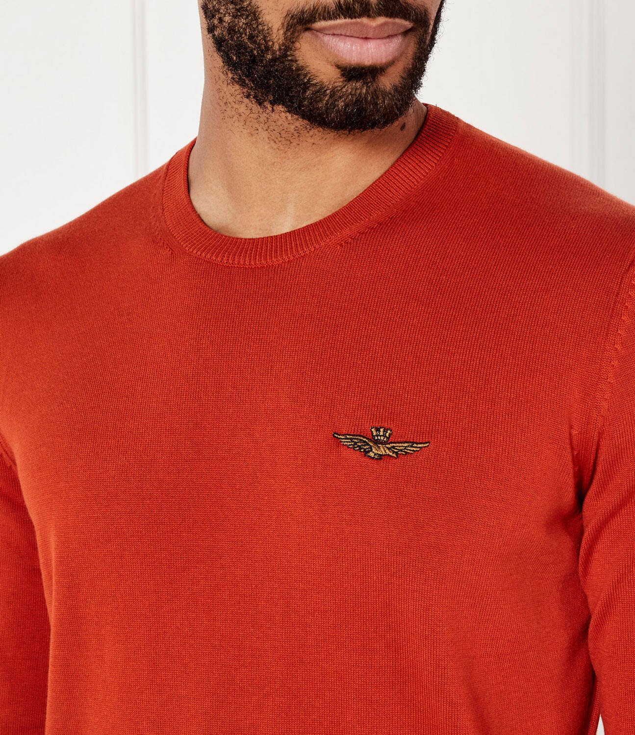 Aeronautica Militare Pulover | Regular Fit