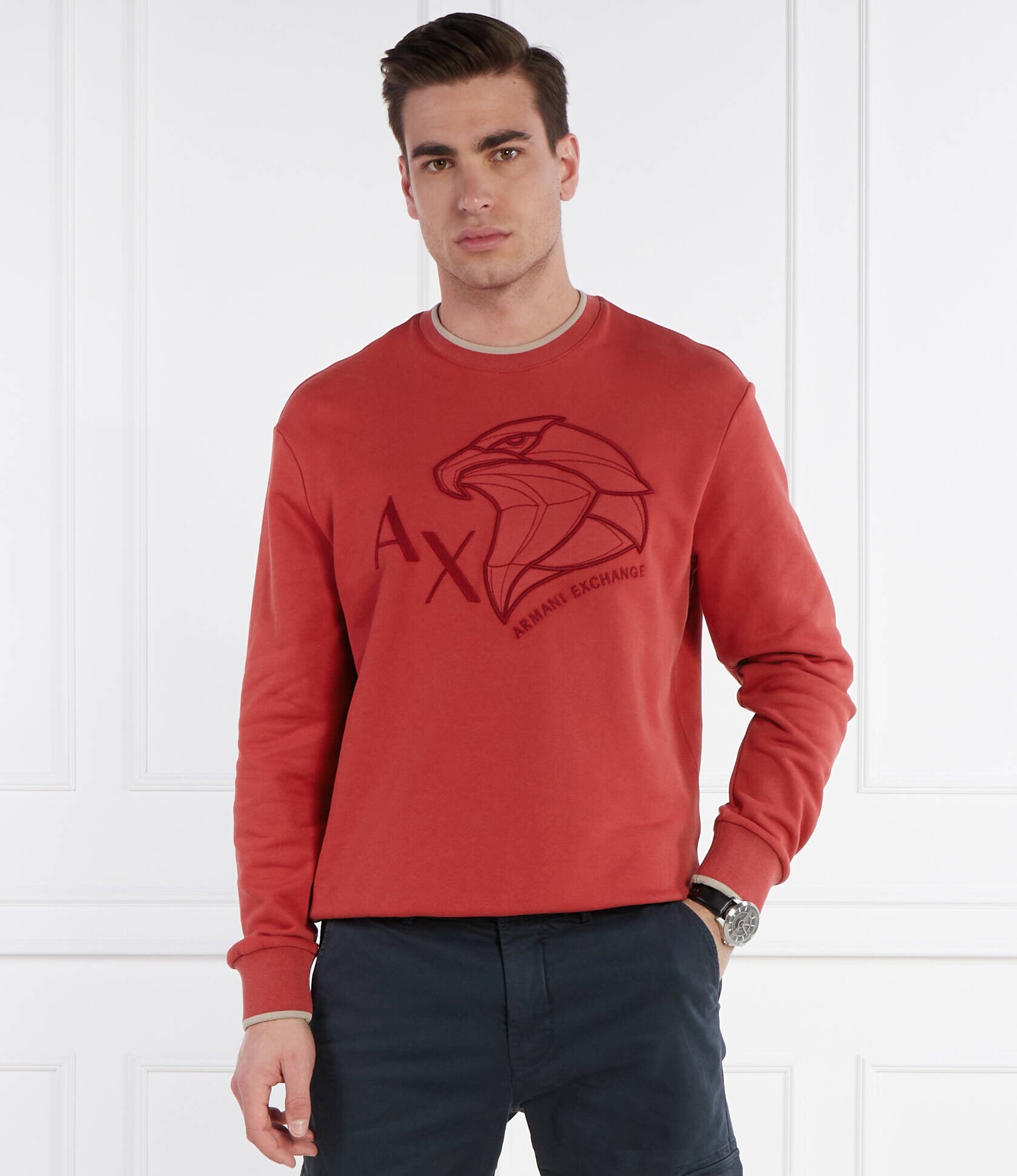 Armani Exchange Hanorac | Regular Fit