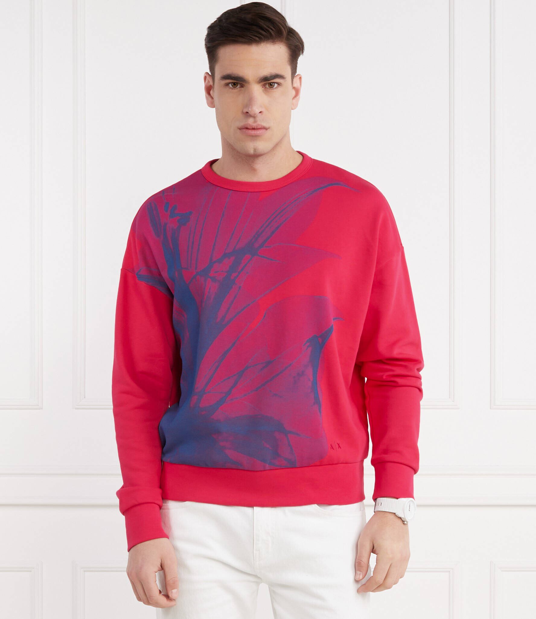 Armani Exchange Hanorac | Regular Fit