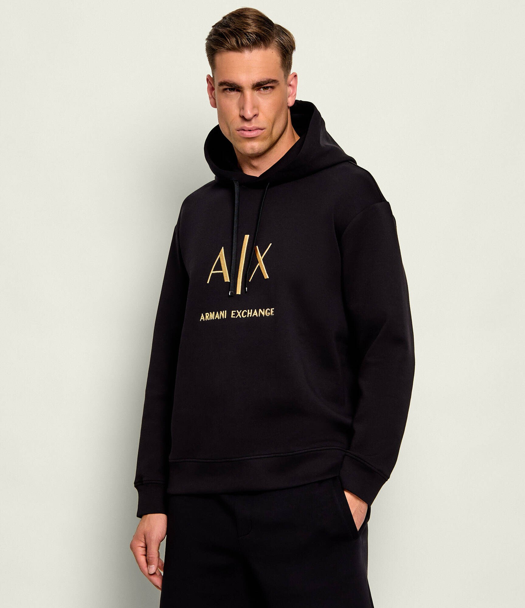 Armani Exchange Hanorac | regular fit
