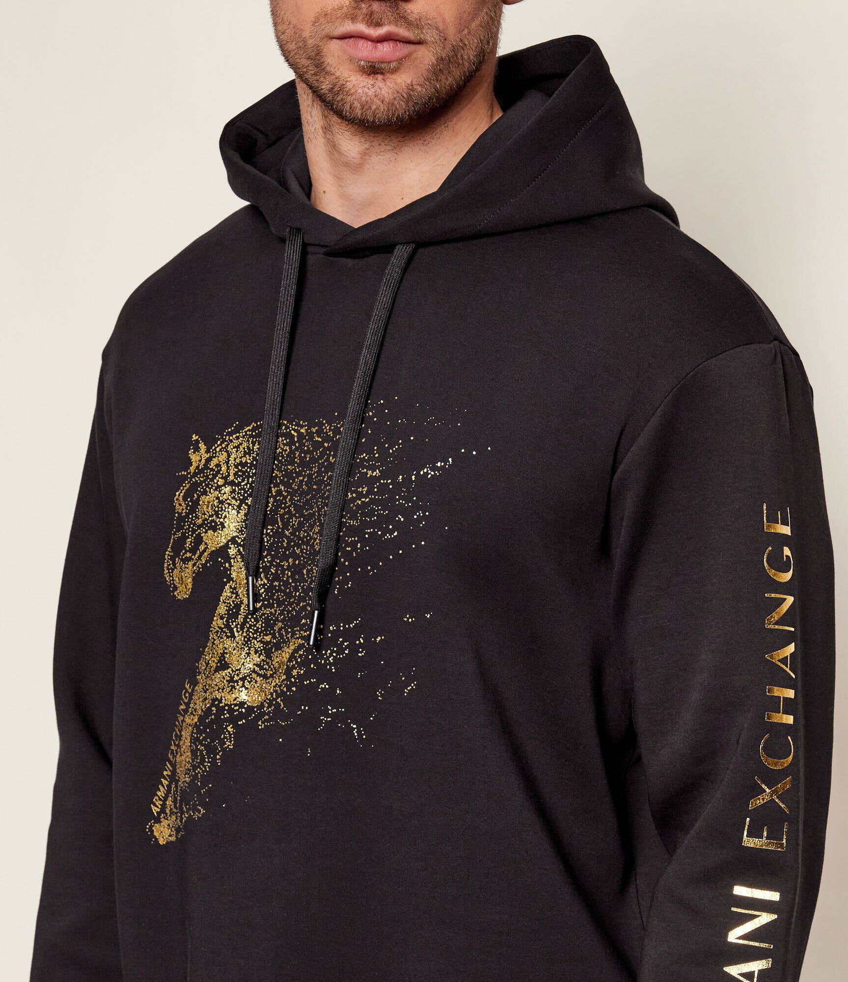 Armani Exchange Hanorac | regular fit