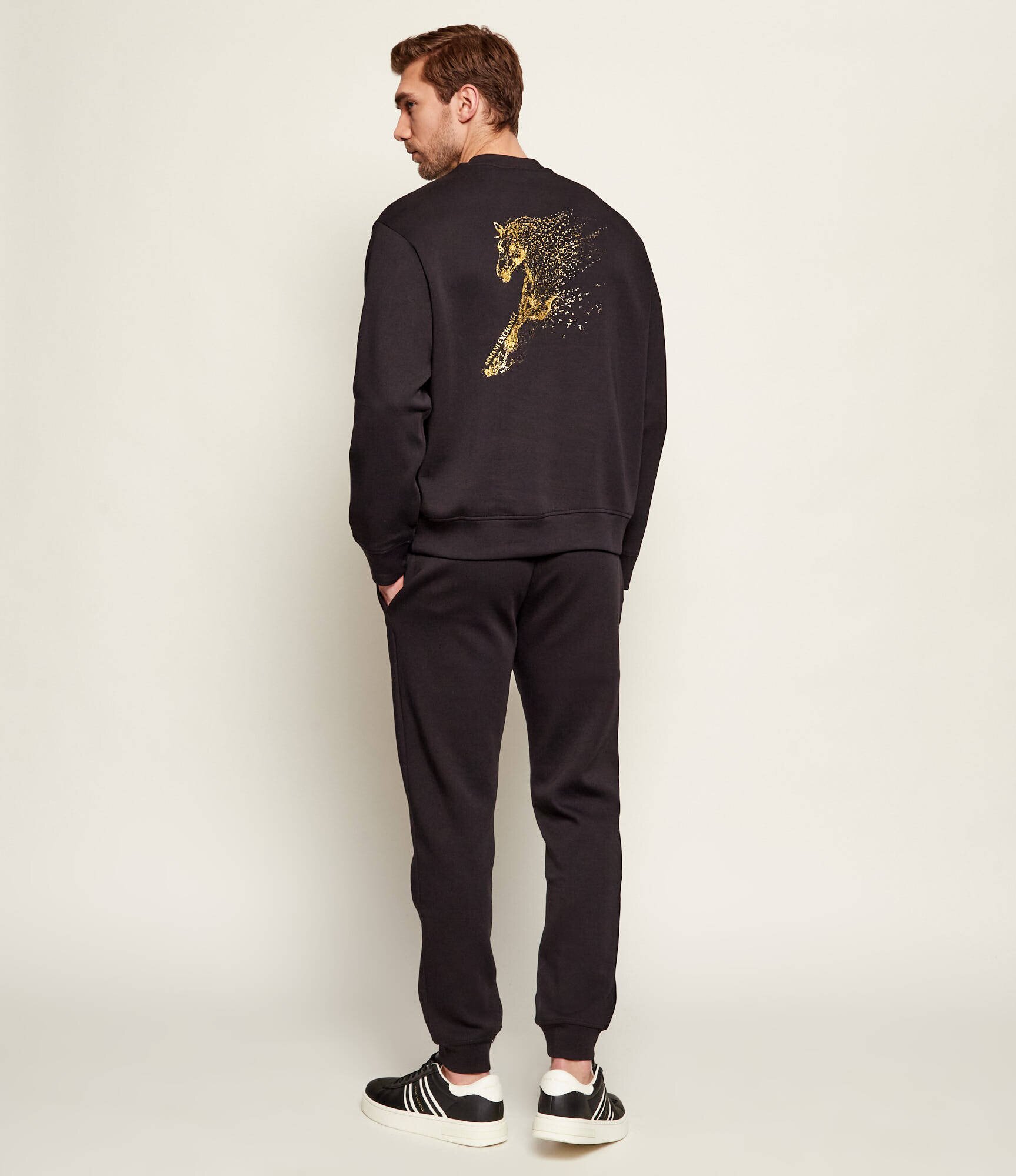 Armani Exchange Hanorac | regular fit