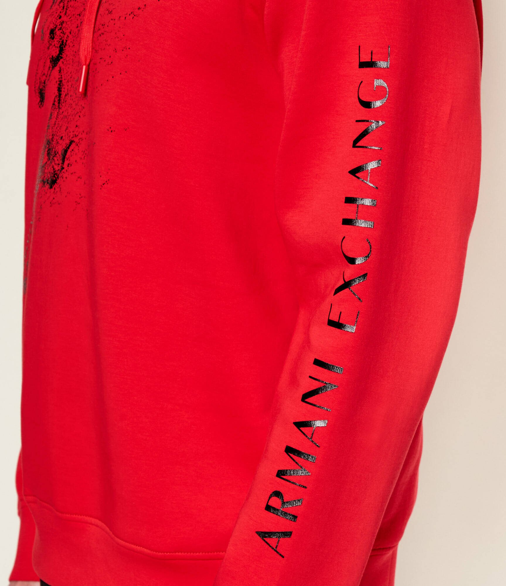 Armani Exchange Hanorac | regular fit