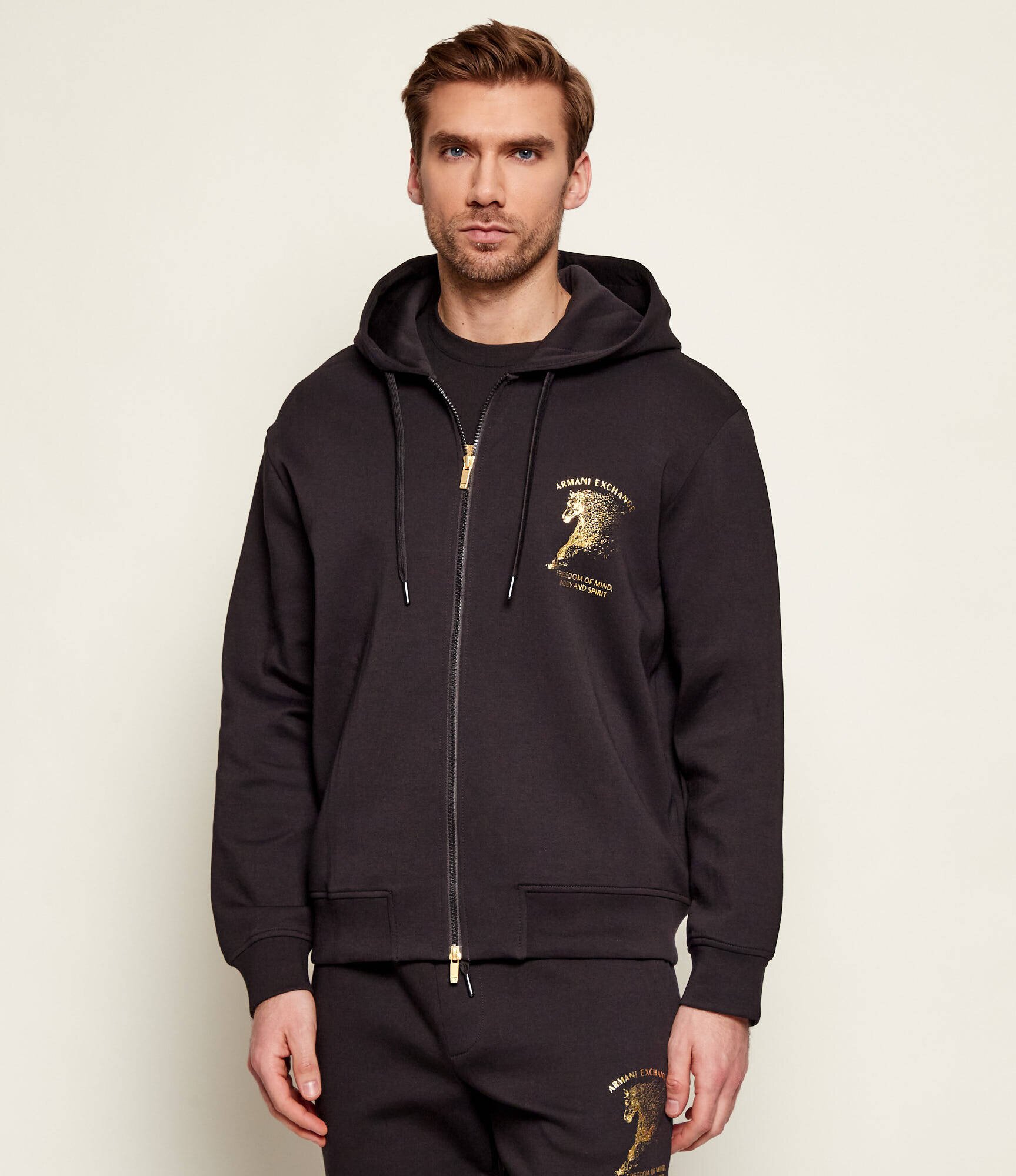 Armani Exchange Hanorac | regular fit