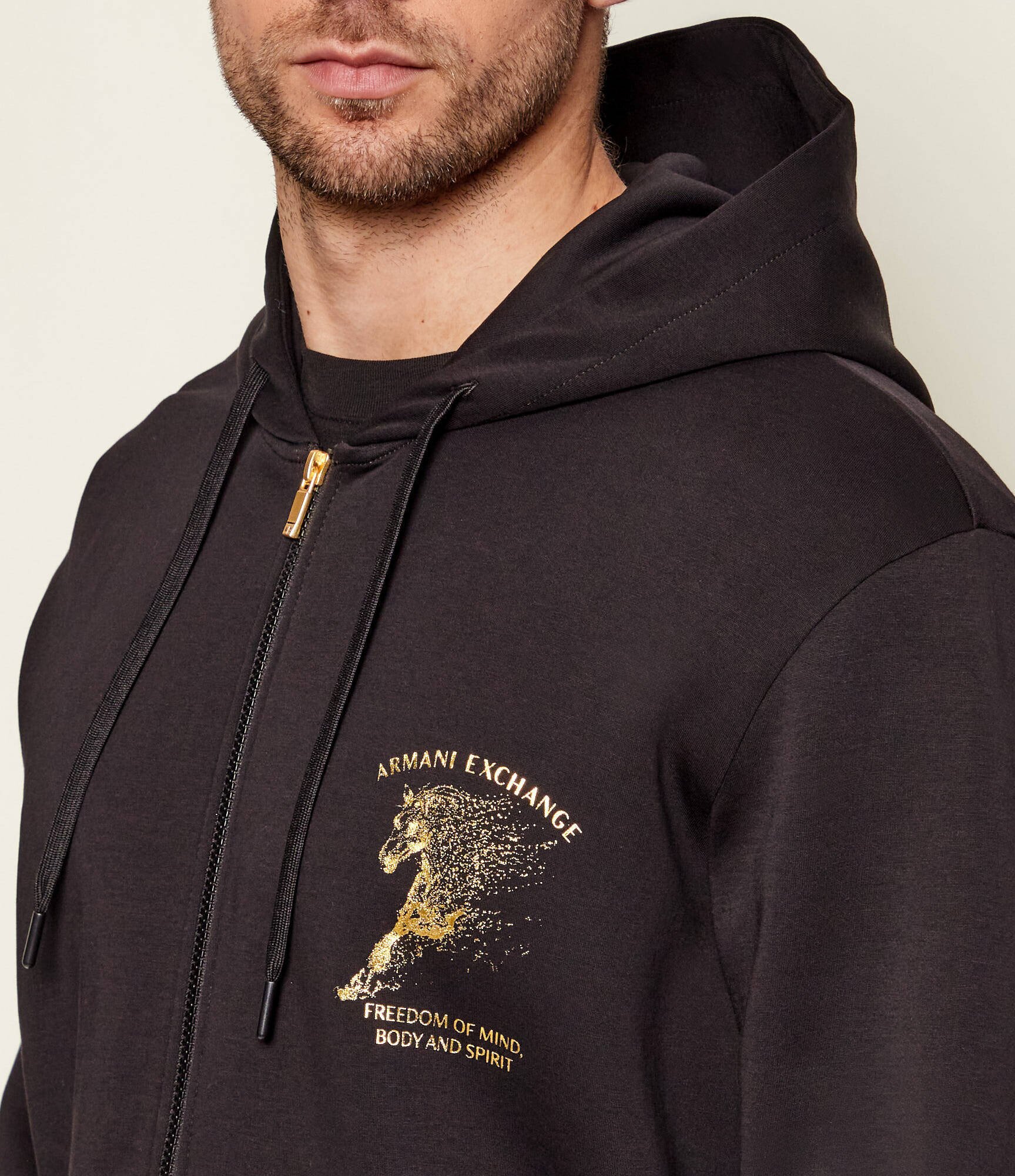 Armani Exchange Hanorac | regular fit
