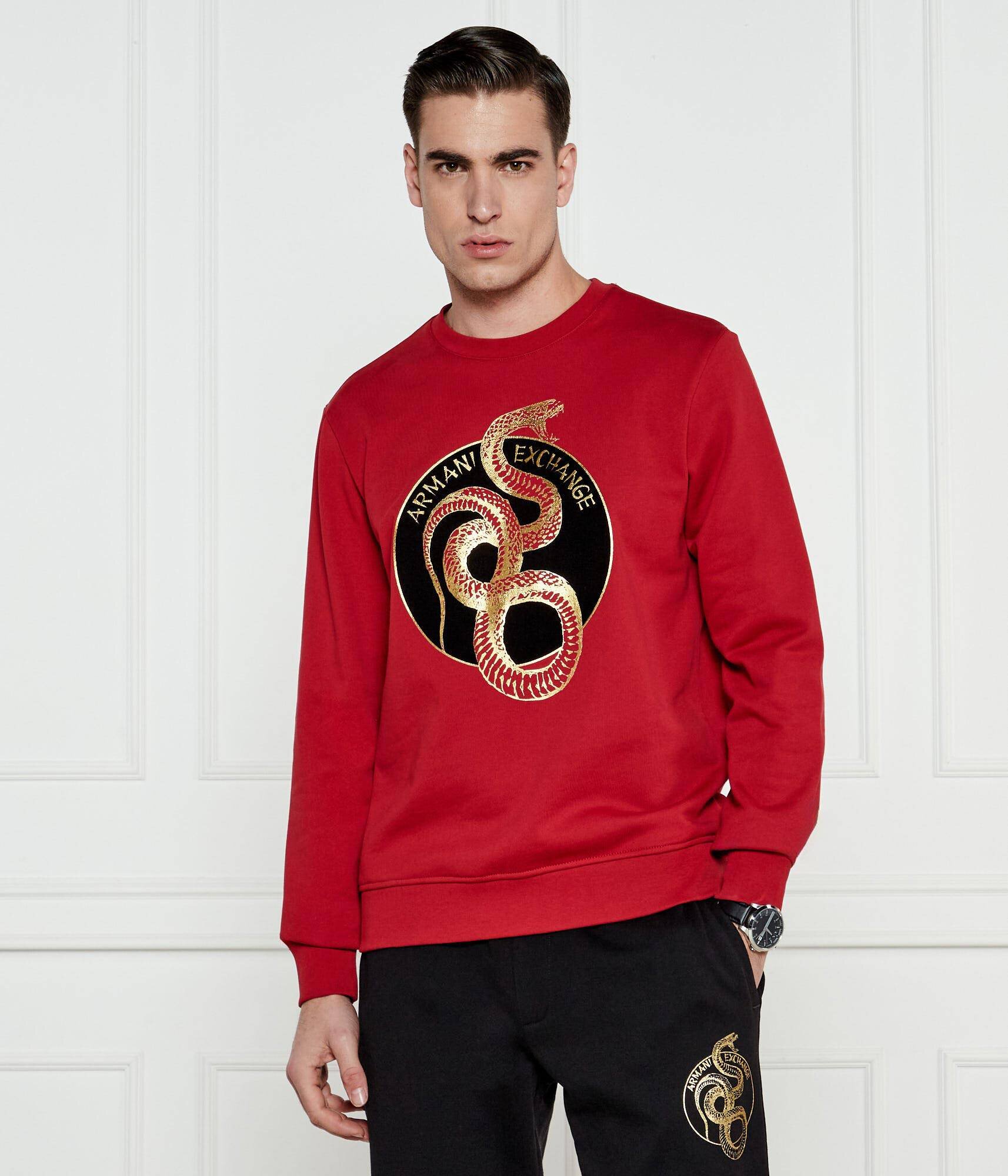 Armani Exchange Hanorac | Regular Fit