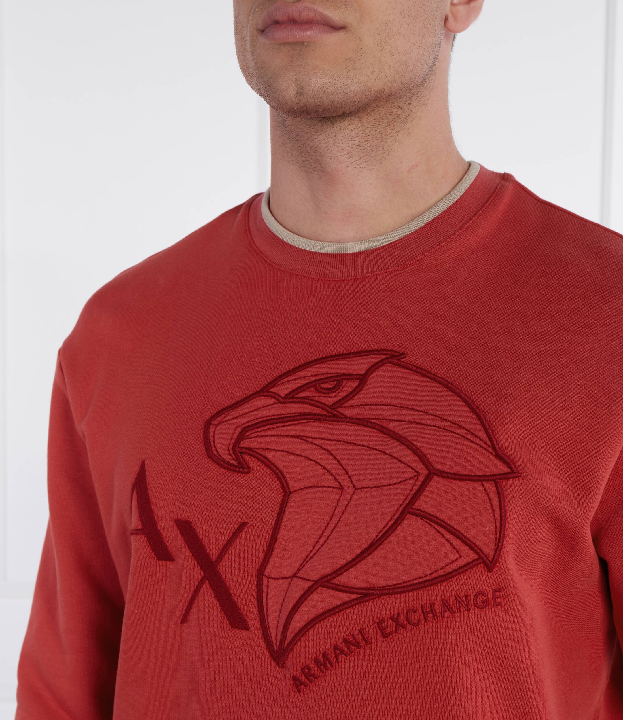 Armani Exchange Hanorac | Regular Fit