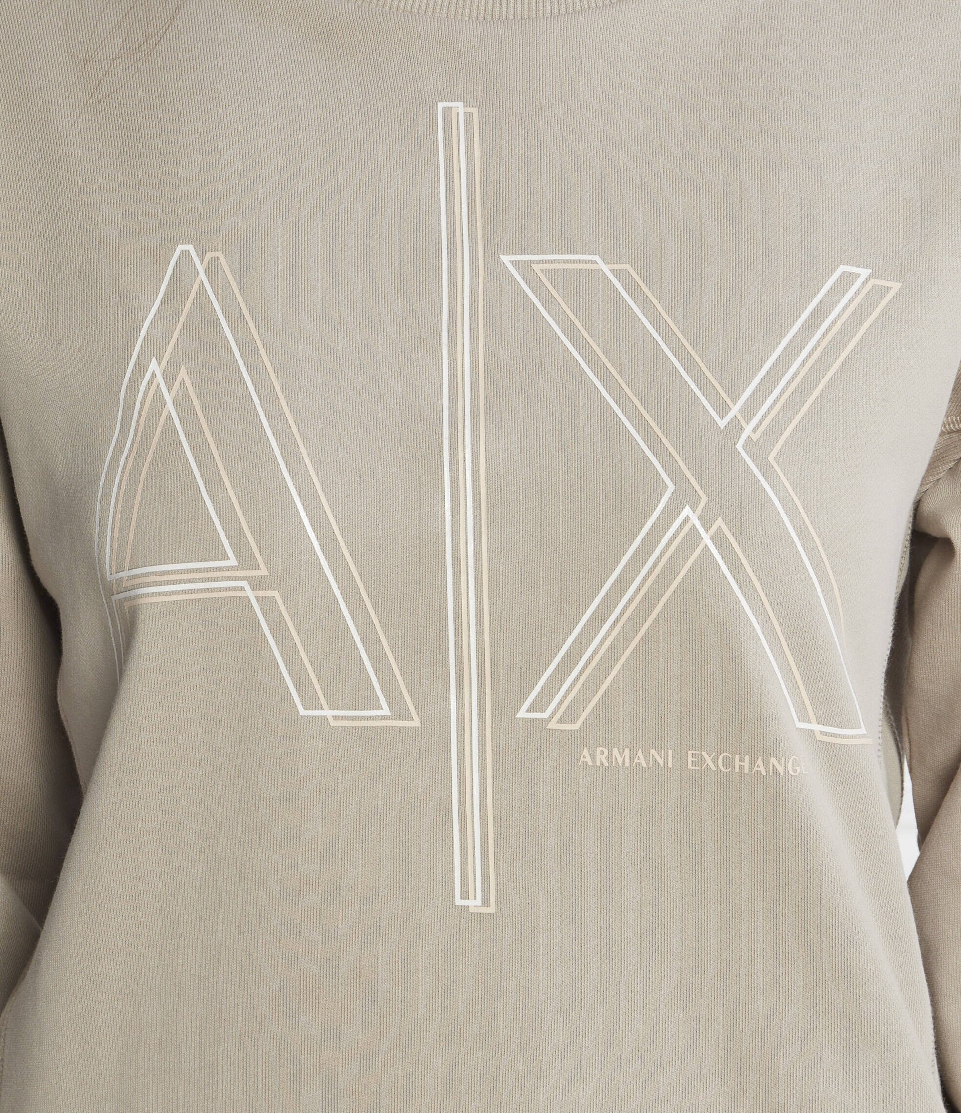 Armani Exchange Hanorac | Regular Fit