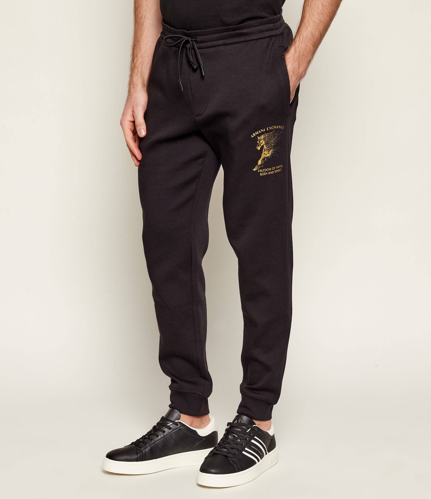 Armani Exchange Pantaloni de trening | regular fit