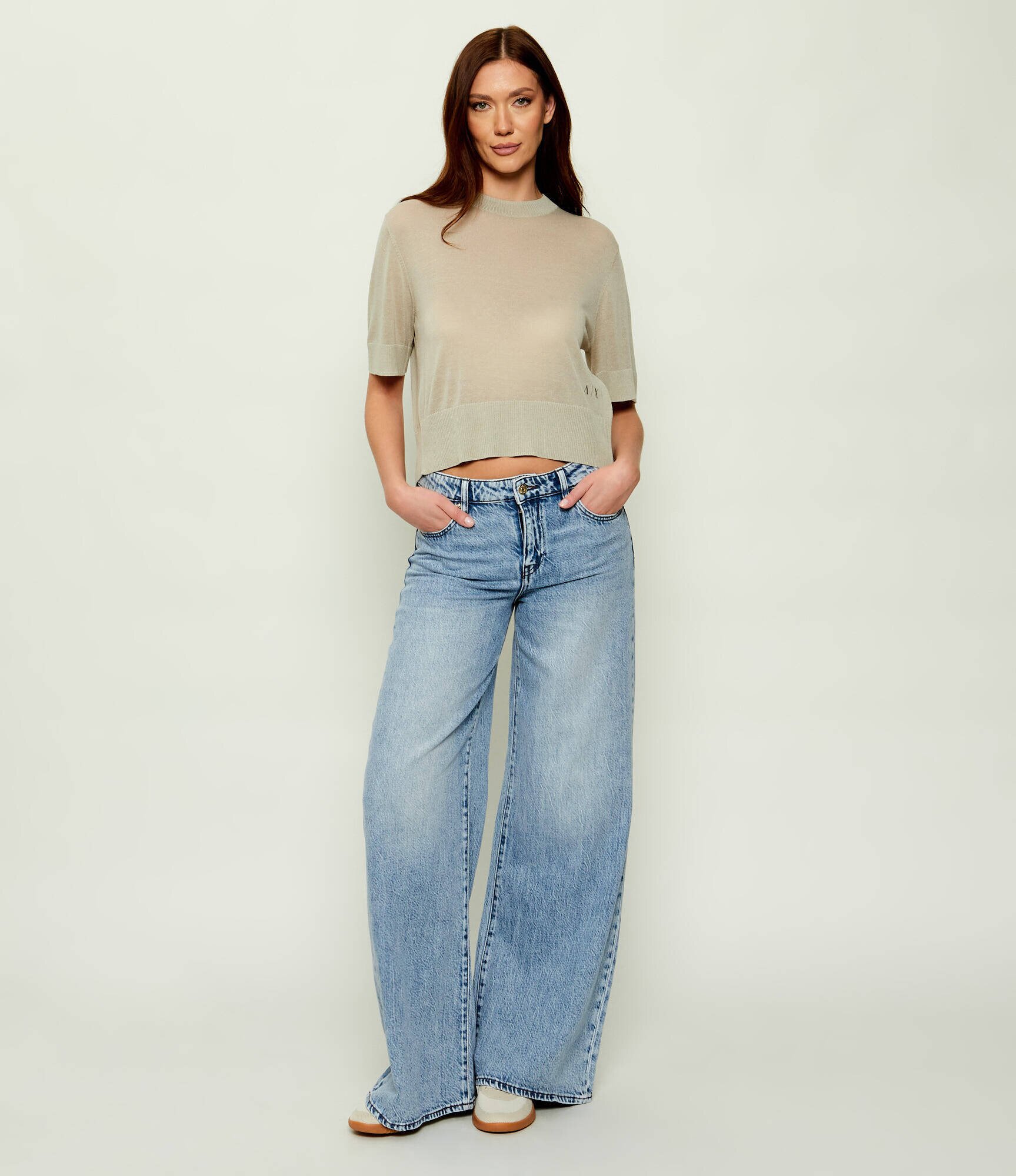 Armani Exchange Pulover | regular fit | cu adaos de in