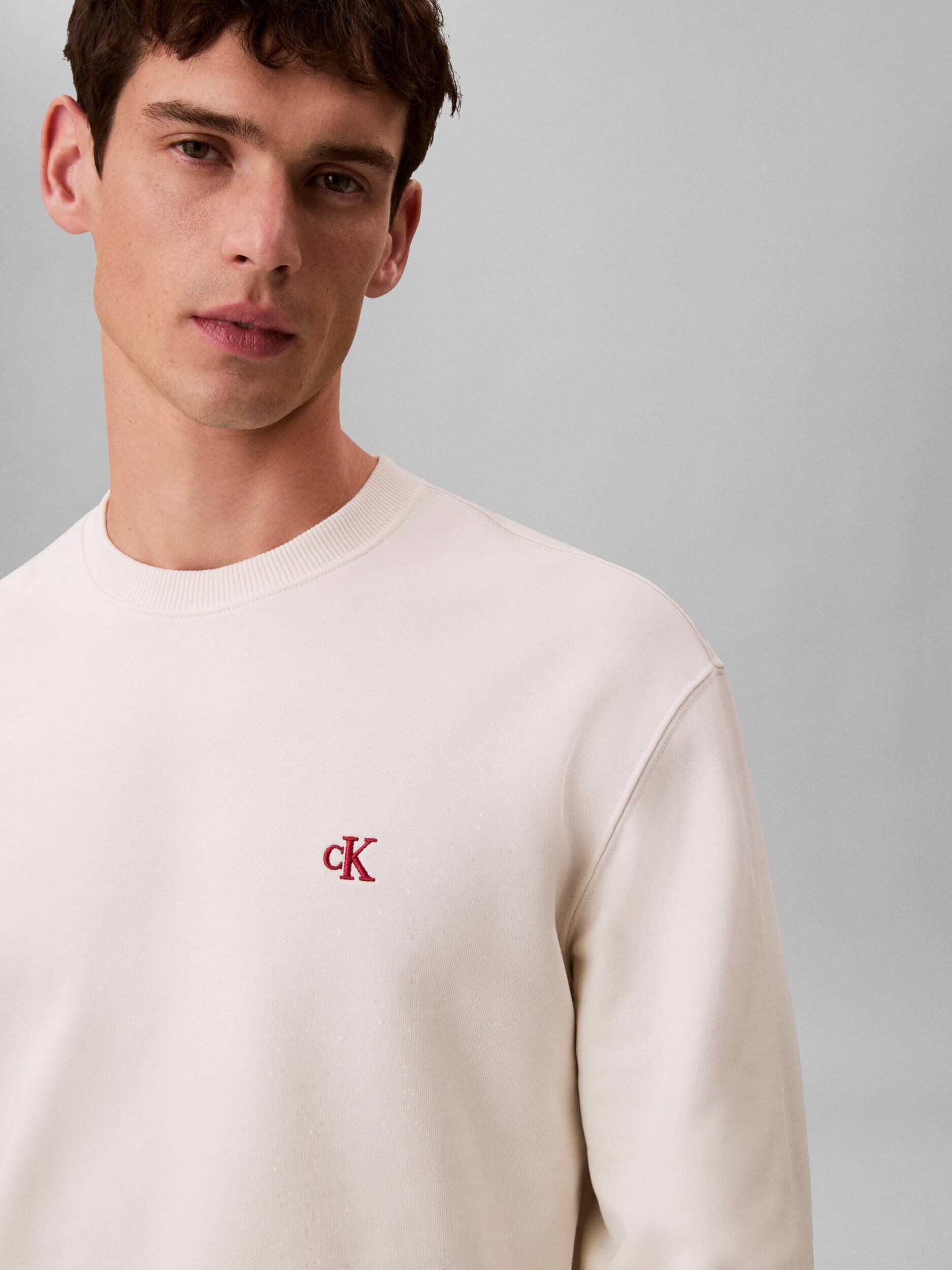 Calvin Klein Jeans Hanorac TERRY | regular fit