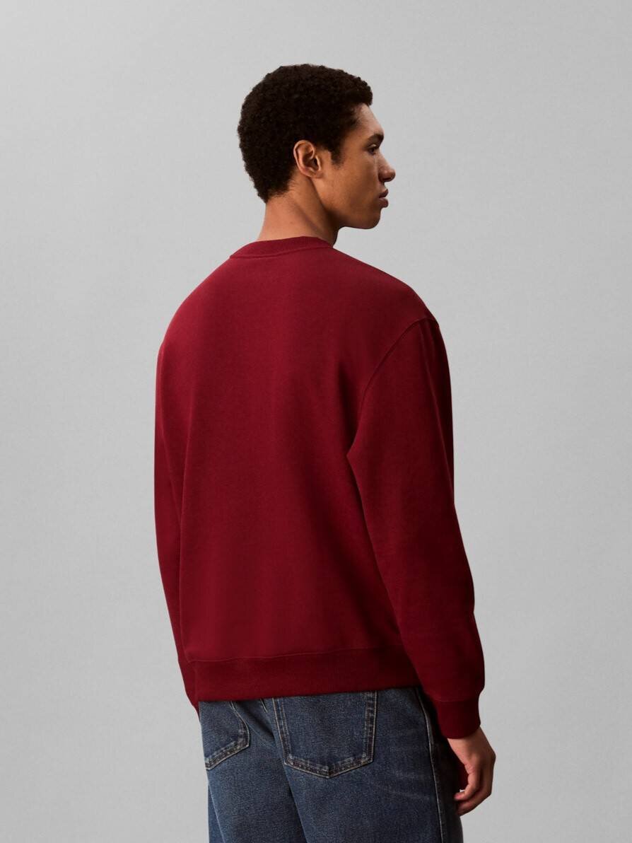 Calvin Klein Jeans Hanorac Terry | regular fit