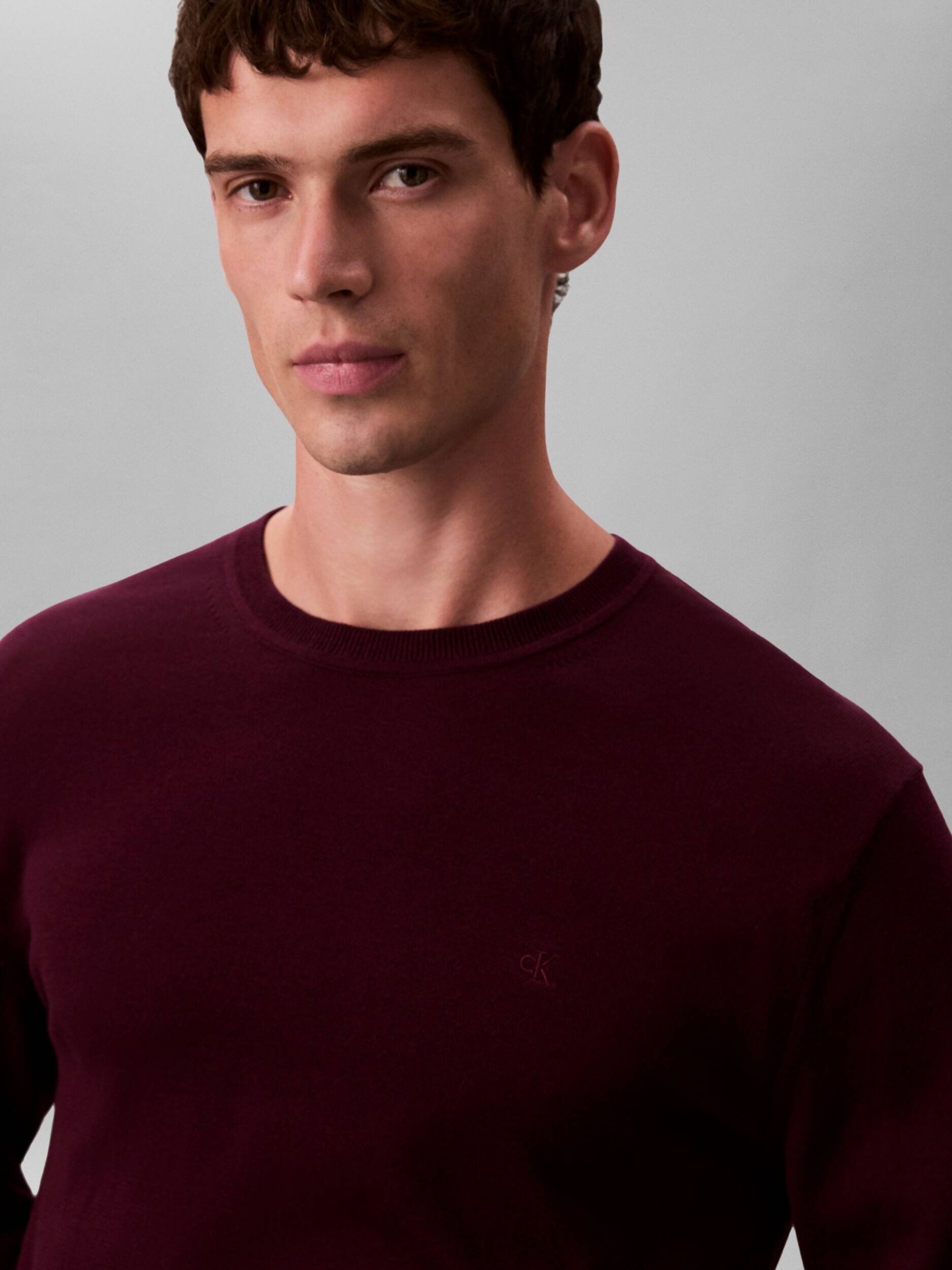Calvin Klein Pulover | regular fit