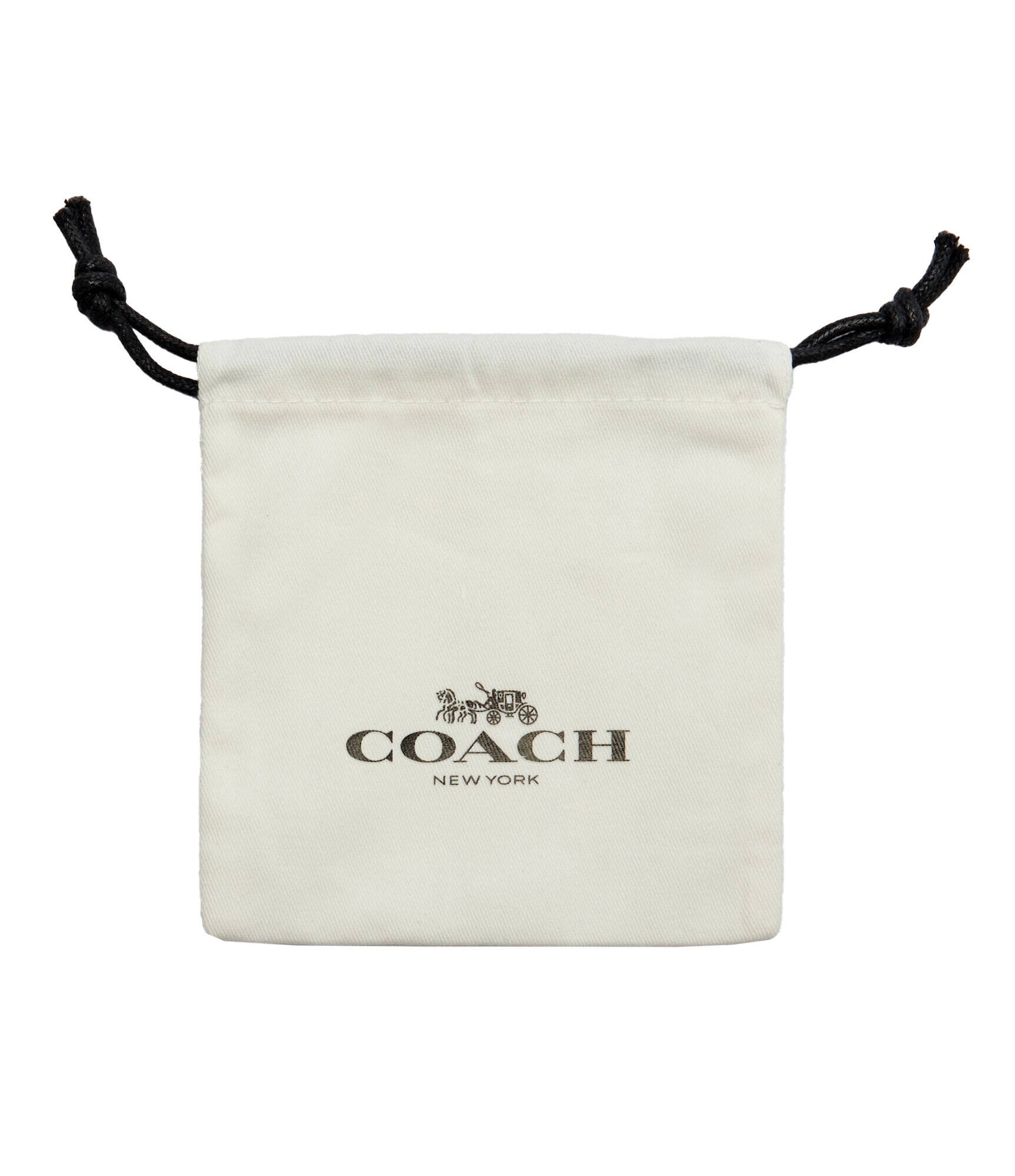 Coach Cercei Huggie