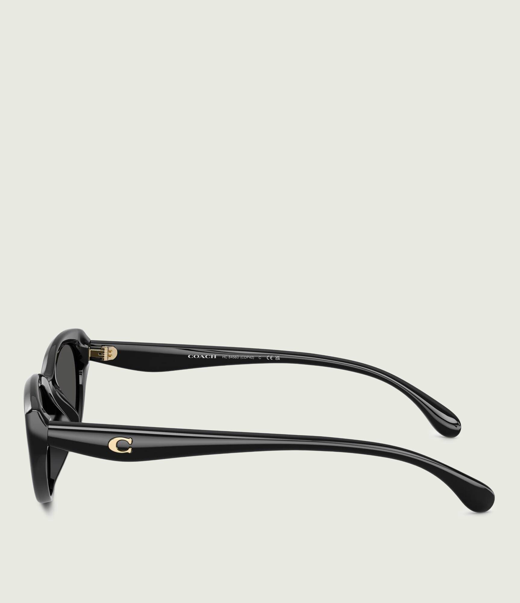Coach Ochelari de soare Injected HC8456D