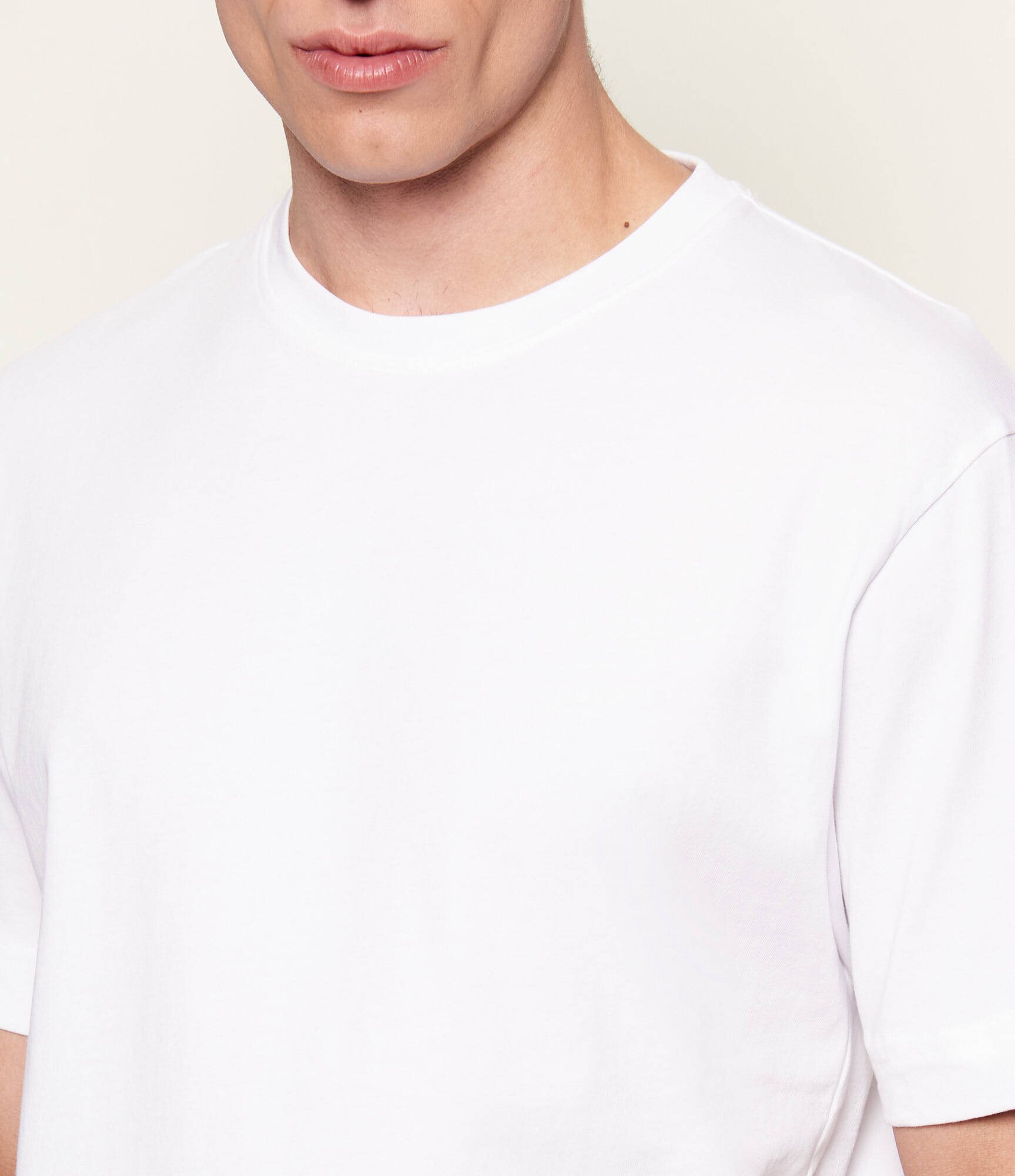 Drykorn Tricou RAPHAEL | regular fit