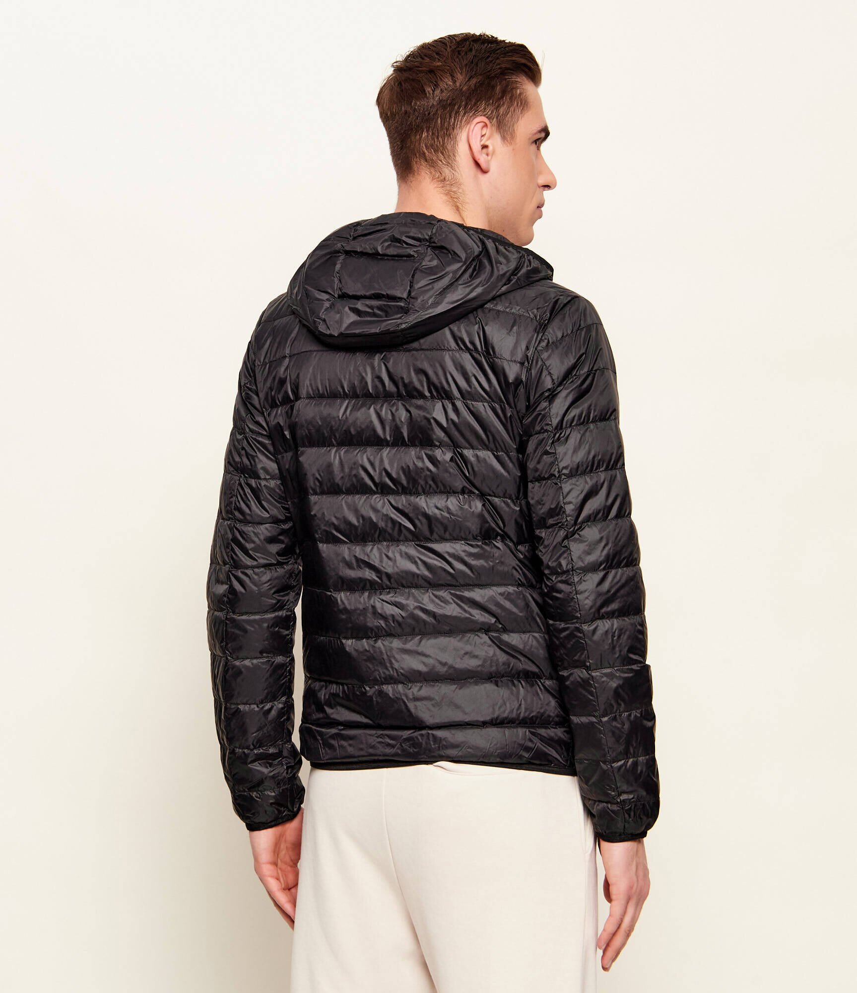 EA7 De puf geacă | Regular Fit